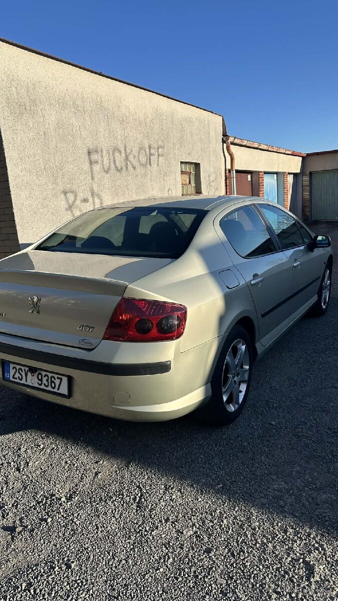 Peugeot 407 - 17