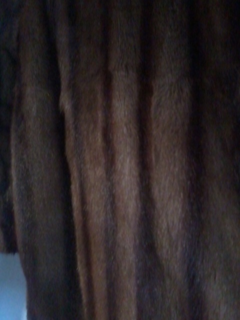 kožich mýval, norek - 17