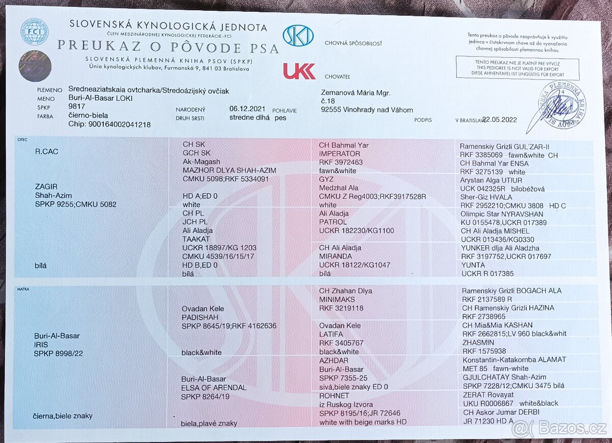 Středoasijský pastevecký pes - 17