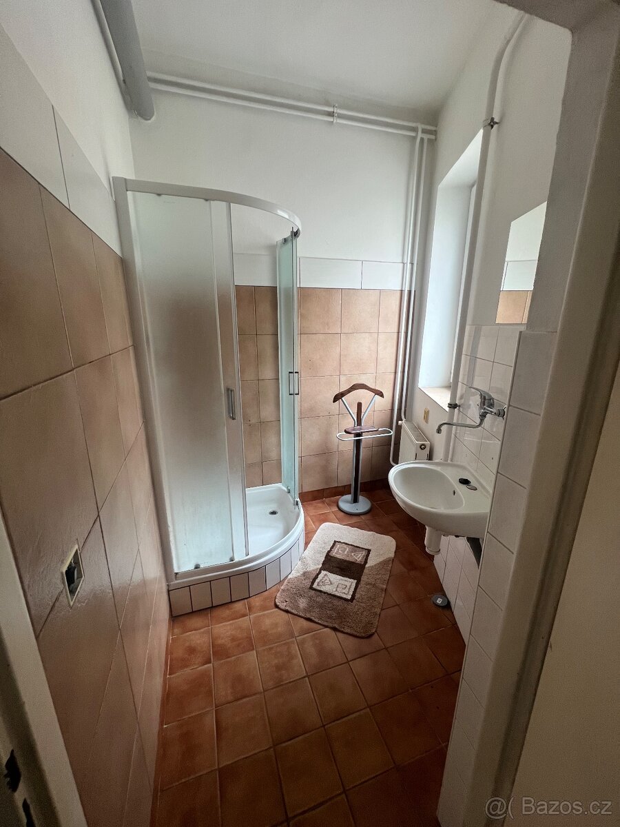 ubytovna, byt, Dolní Cerekev - 17