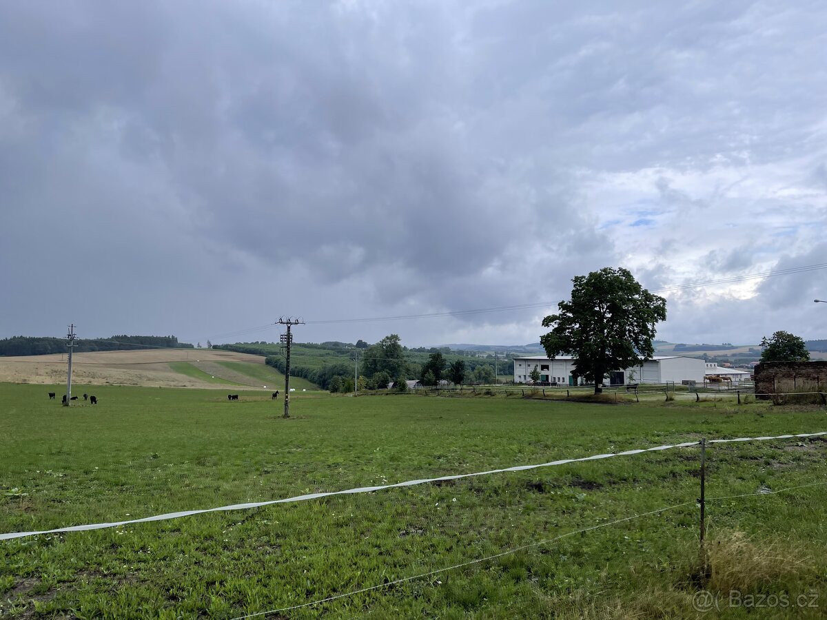 Jezdecký areál Eden – ustájení koní - 17