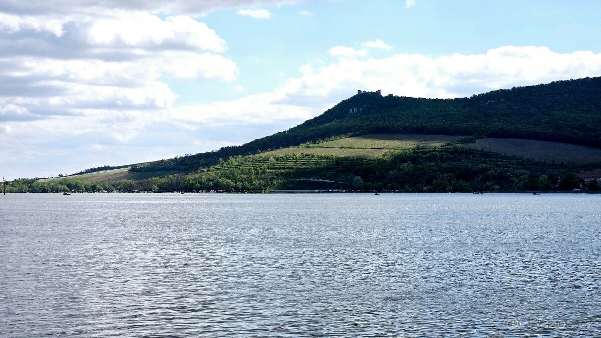 Stavební pozemek o výměře 781m2, v obci Milovice u Mikulova - 17