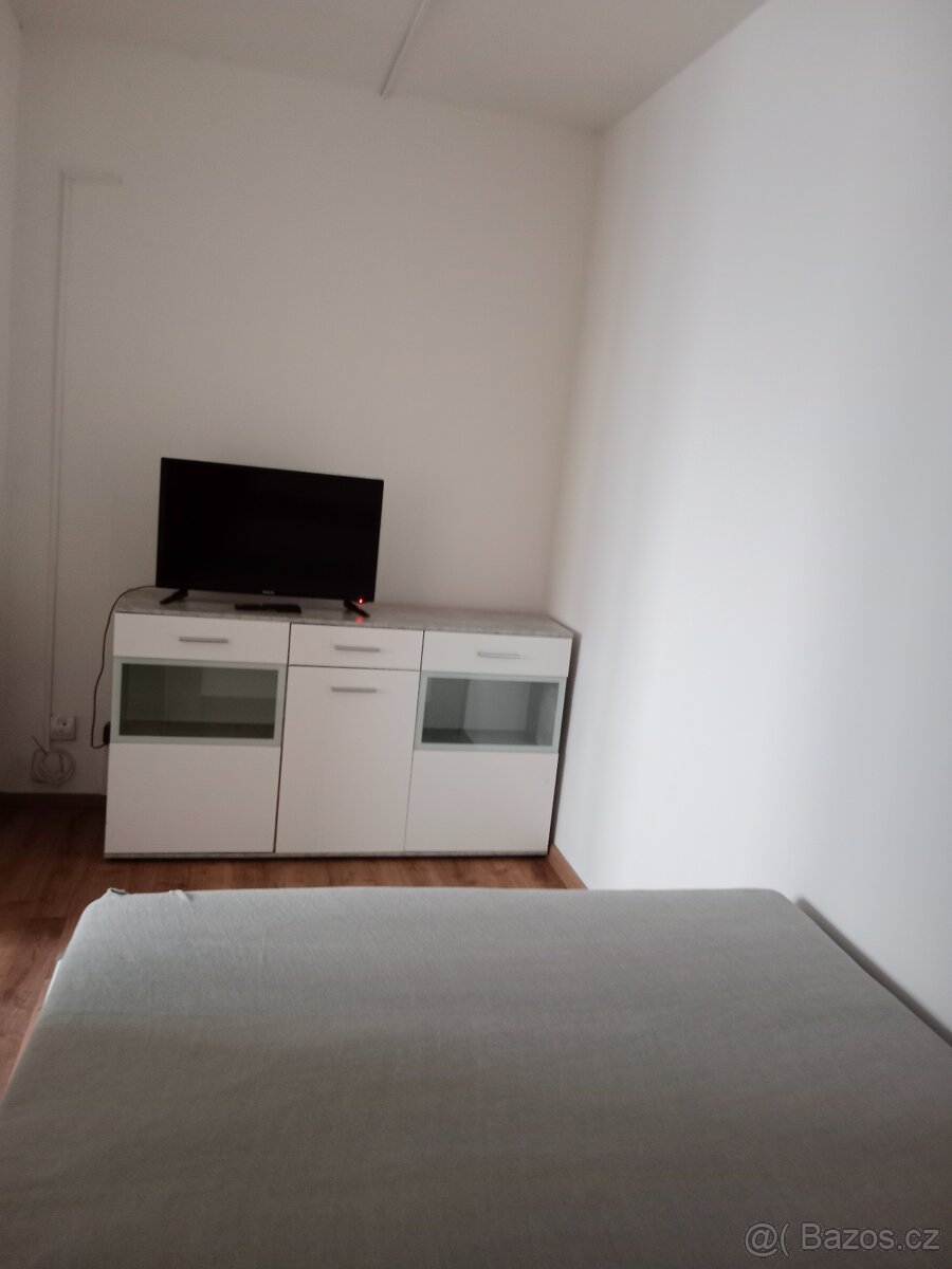 Pronájem bytu 2+1 - 17