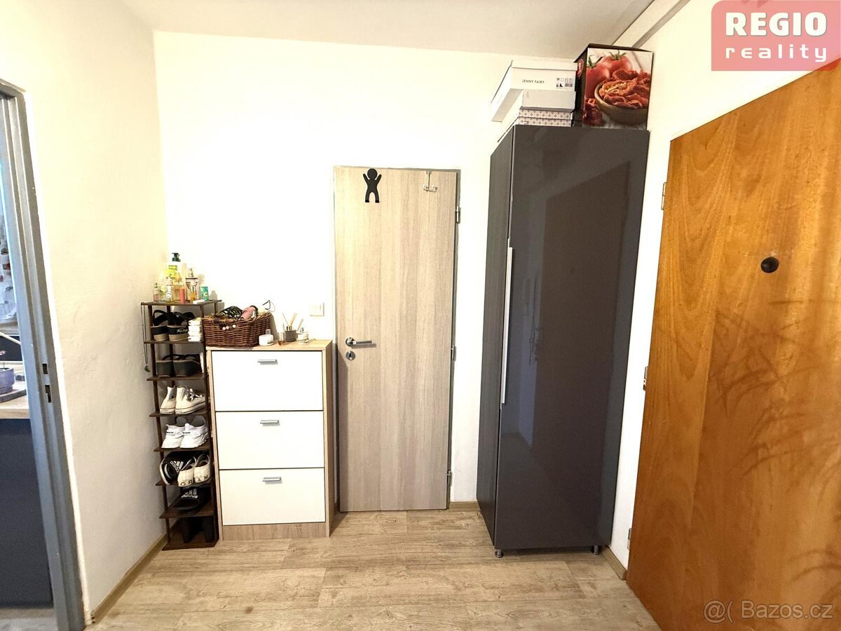 Prodej bytu 1+1 s lodžií, Malý Koloredov, Frýdek-Místek - 17
