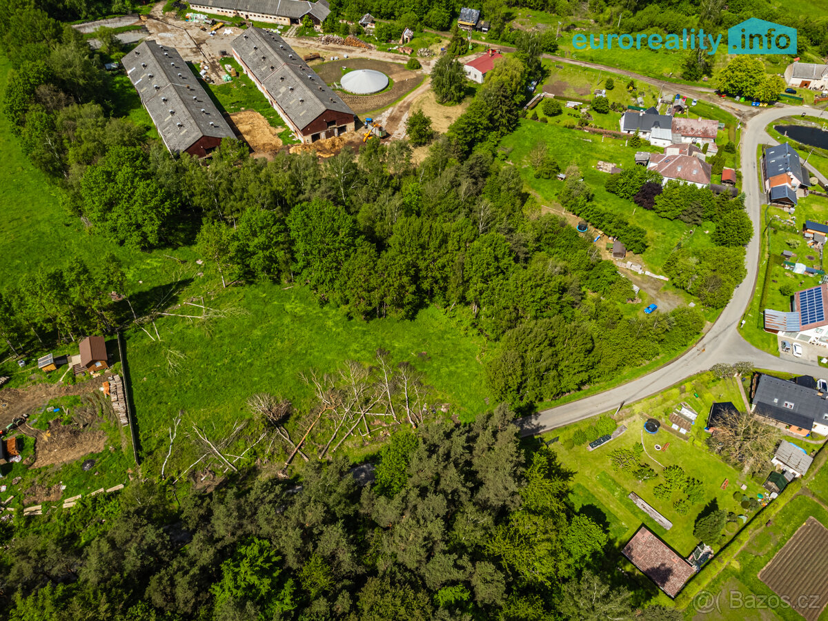 Prodej, pozemek k bydlení, 894 m², Přimda - 17