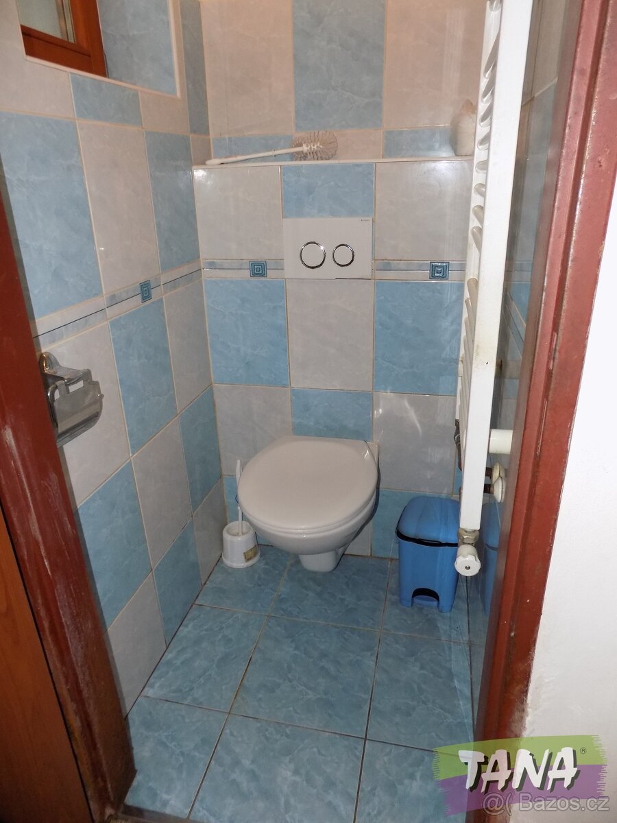 Prodej zemědělské usedlosti, dům o dispozici 4+1, vejminek, - 17