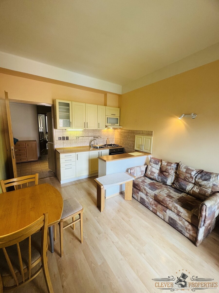 Pronájem zařízeného bytu 2+1 v Hradci Králové – Puškinova, 6 - 17