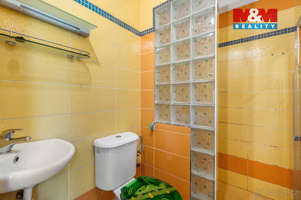 Prodej rodinného domu, 180 m², Háje nad Jizerou - 17