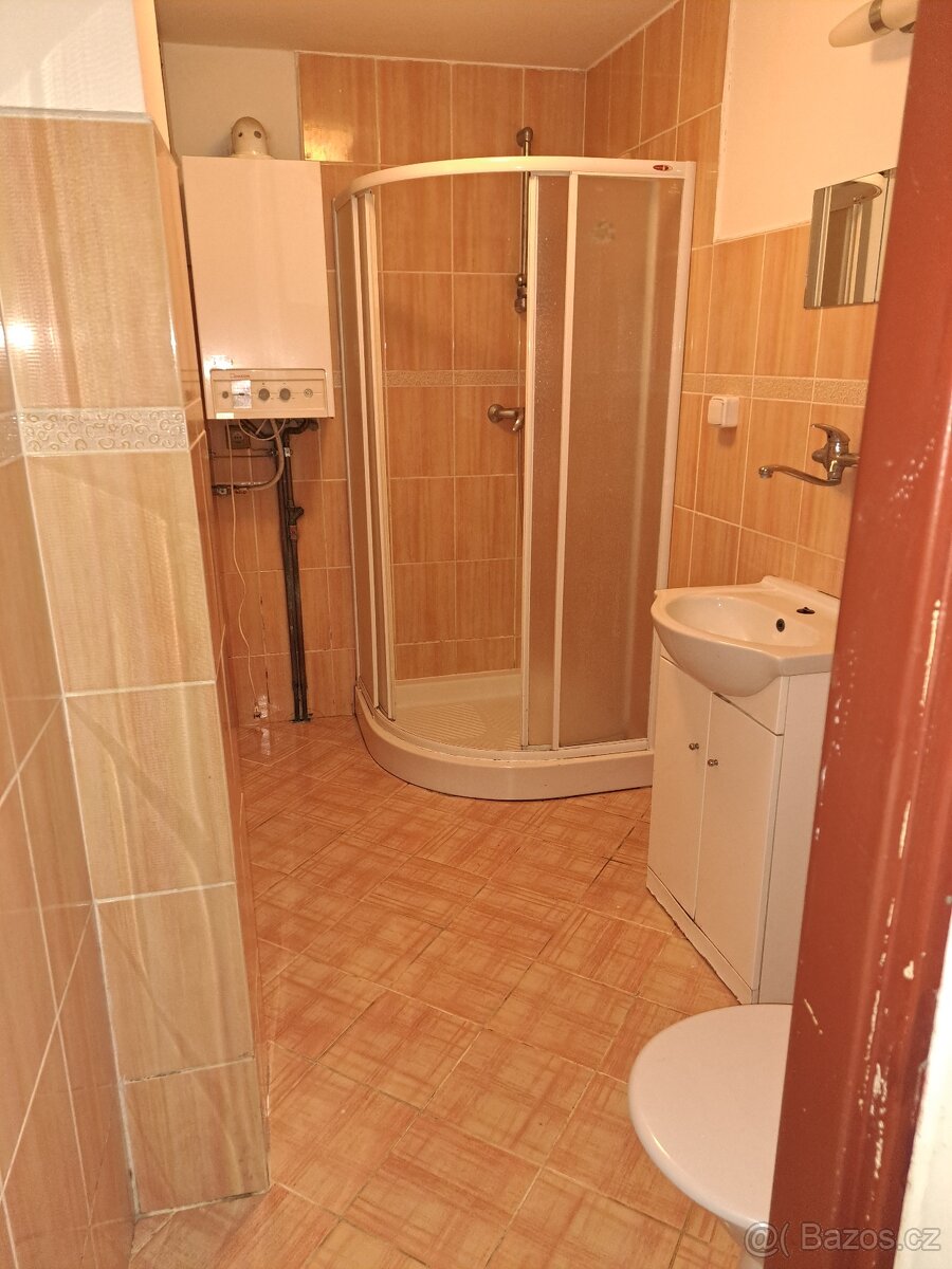 Prodám byt 1+1 v OV, 49m² - 17