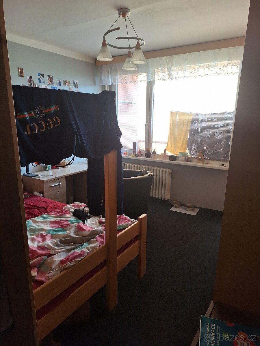 Hodkovice nad Mohelkou byt O.V. 4+1 - 17