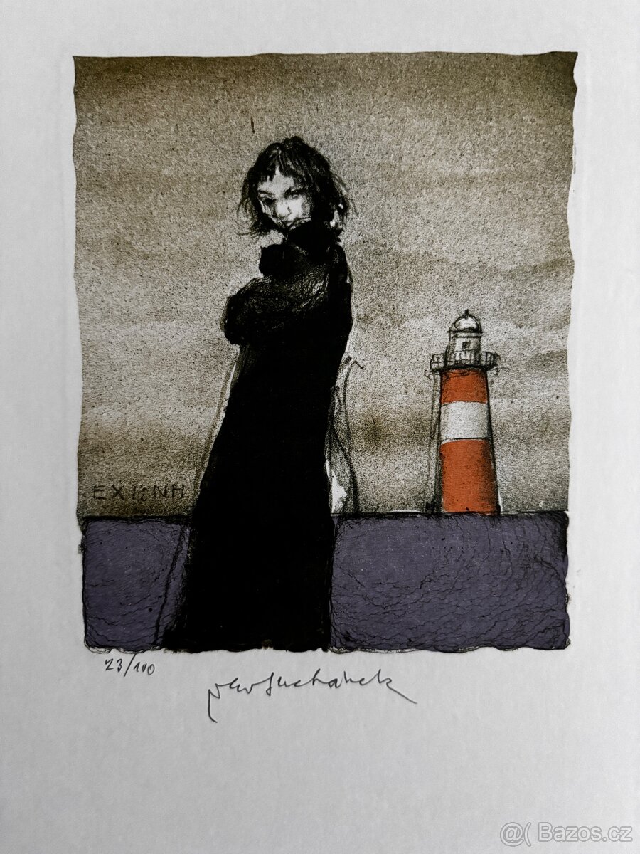 Vladimir Suchanek - exl - 17