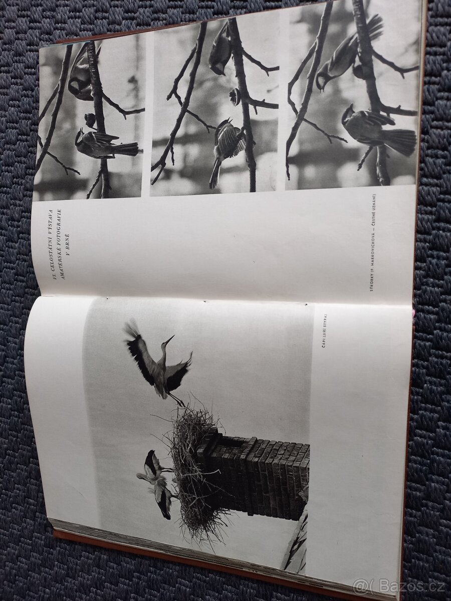 Československá fotografie 1959 - 17