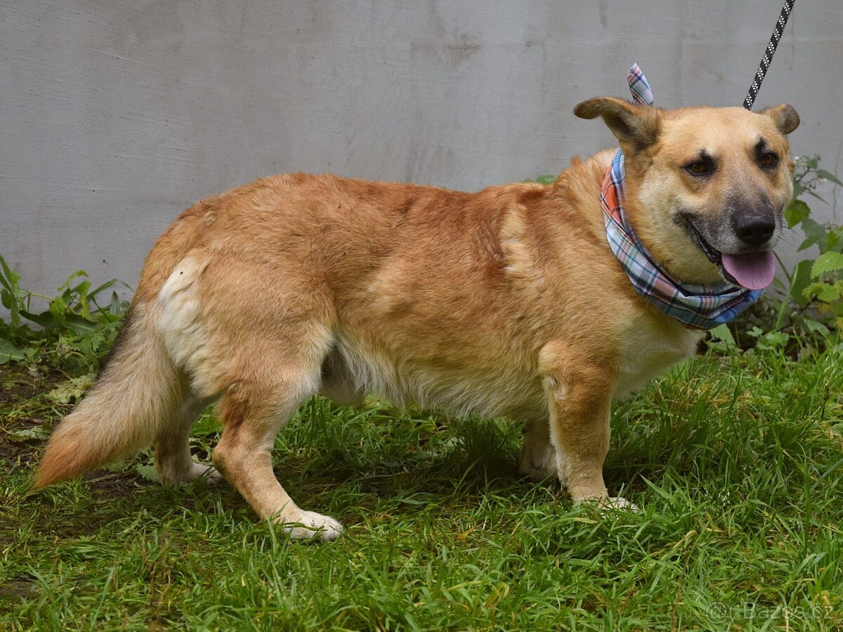 Odin hledá domov - 17