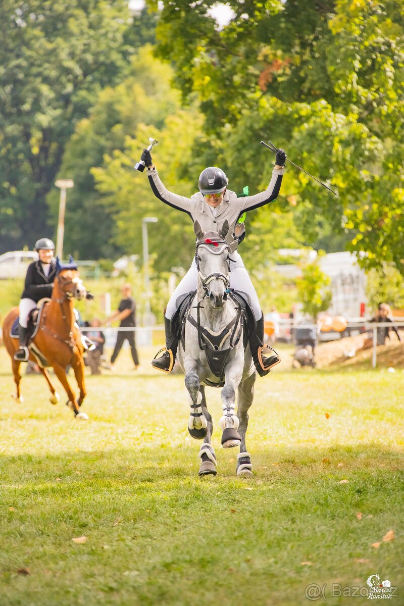8 letá klisna do sportu - 17