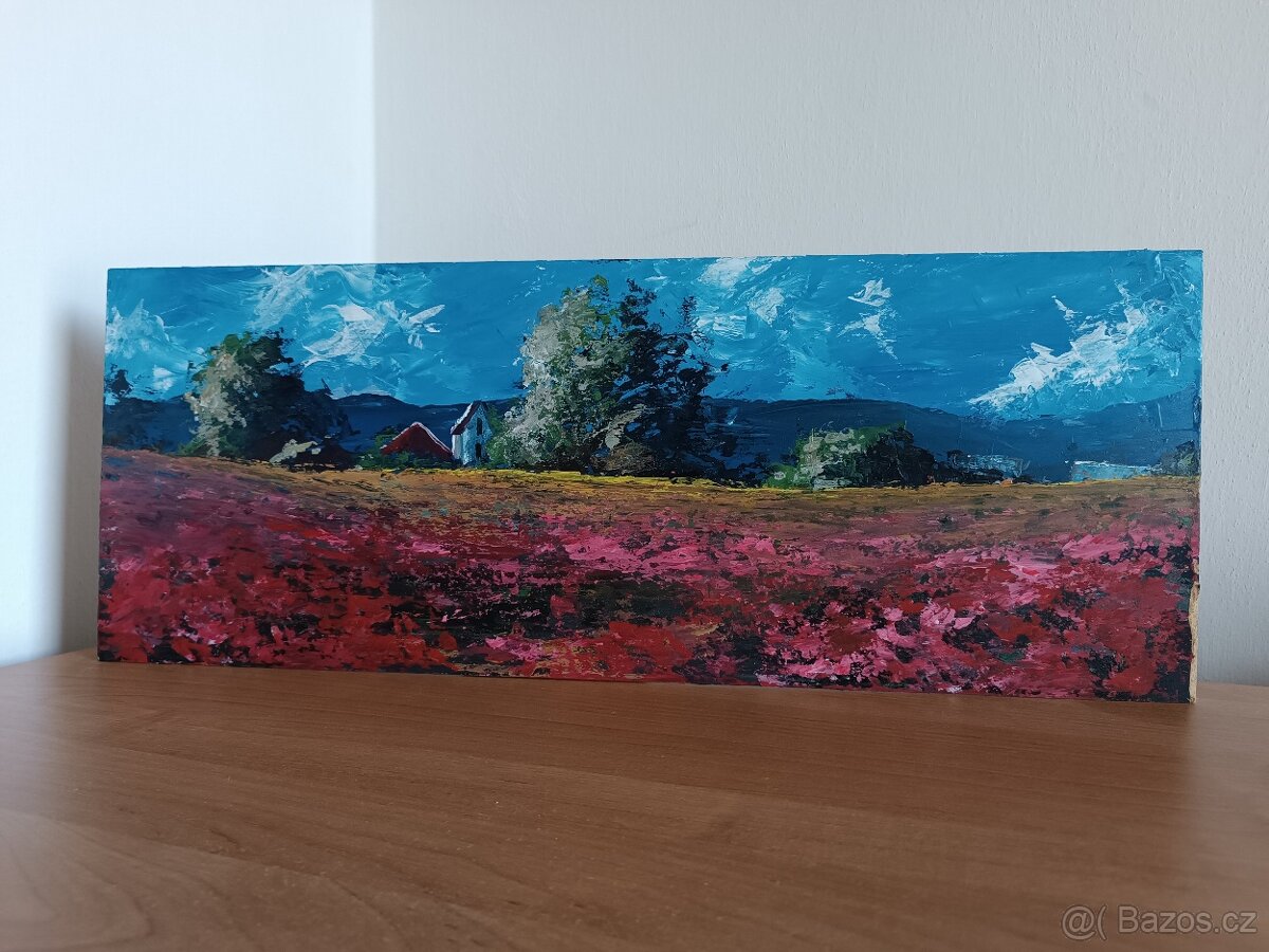 Akrylové obrazy 4 - 17