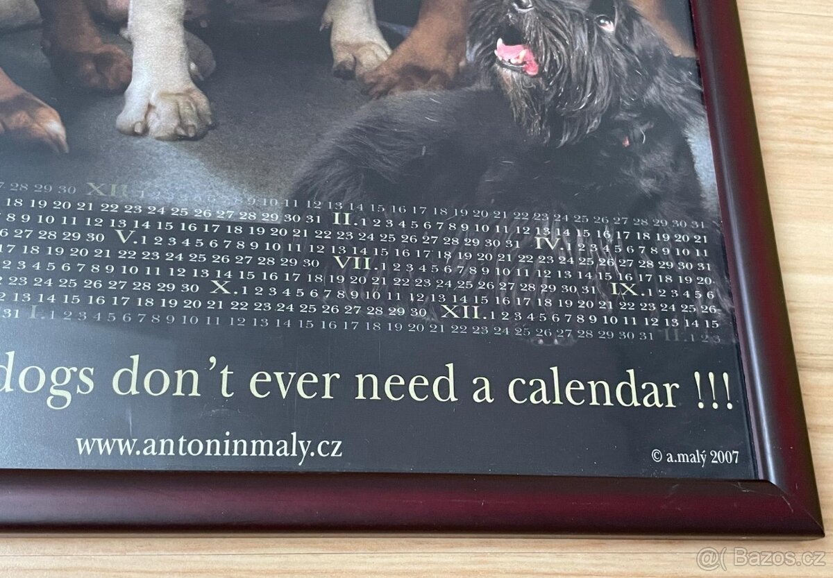 Foto Obrazy Antonín Malý s motivy psů 3 ks - 17