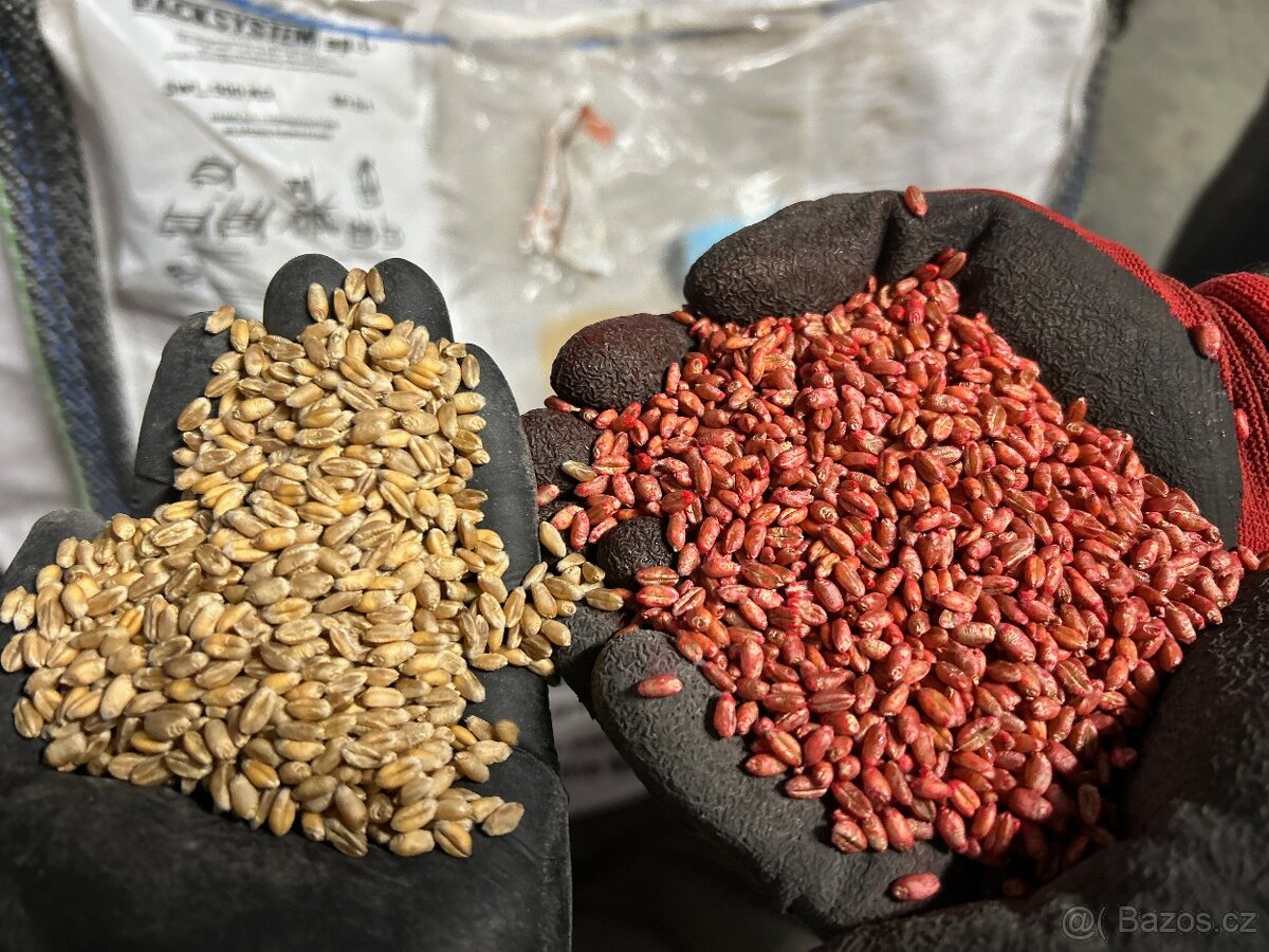 Mořička osiva VI-AGRO Big Bag 10t/h Nerez - 17