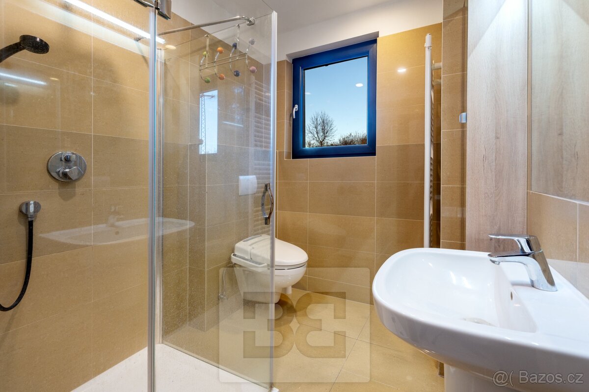 Prodej patrového rodinného domu se zaradou v Třemošné, 1270m - 17