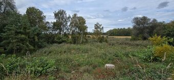 Prodej zahrady 3.737 m² v Borku - 17