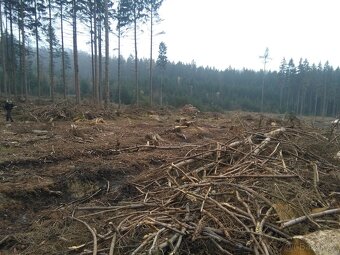 JČ-stavby rekonstrukce - 17