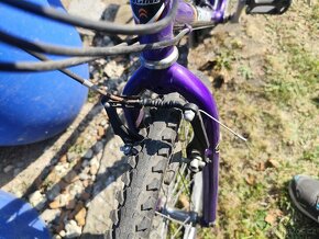 Prodej kola Author a Jupiter - 17