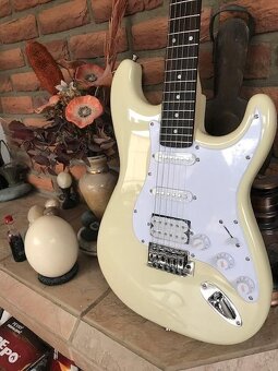 Akust. a el. kytary 6 a 12, ukulele, španělky a comba+efekty - 17