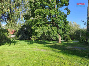 Prodej zahrady, 719 m², Město Albrechtice - 17