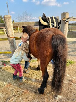 Hodná osmiletá ponička - 17