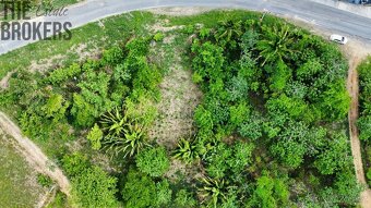 Isery Main Road, Roatan - 17