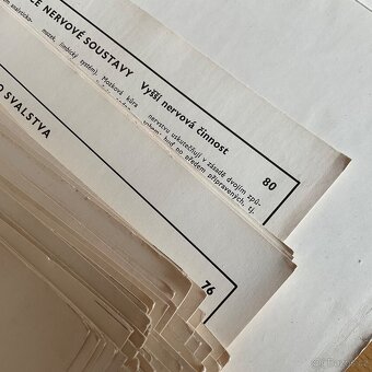 Biologie člověka v obrazech- A4 - 17