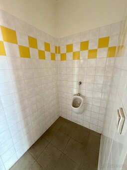 Pronájem obchodního prostoru 65 m2 - 17