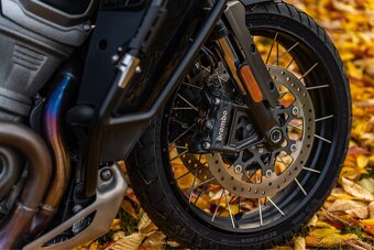 Harley Davidson PAN AMERICA 1250 SPECIAL - 17