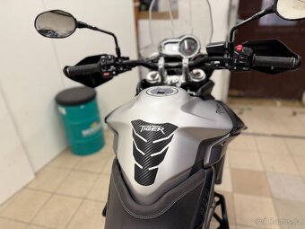TRIUMPH TIGER 800 XCX,ABS,TOP - 17