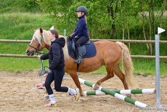 Ustájení koní na Šumavě - 17