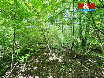 Prodej vodní plochy, 3255 m², Skalice u České Lípy - 17