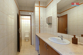Prodej multifunkčního objektu, 1050 m², Zbizuby - 17