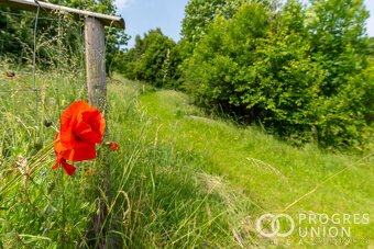 Prodej stavebních a zemědělských pozemků na samotě s číslem  - 17