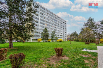 Pronájem bytu 1+kk, 35 m², Hradec Králové, ul. Třebechovická - 17