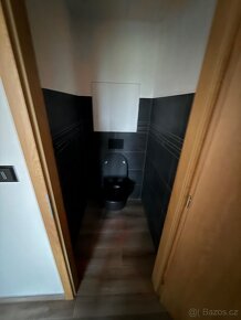 BYT-TOP-EXLUZIVNÍ 3+KK+ZAHRADA-102 m2,PRODÁNO - 17