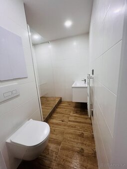 Pronájem bytu 2+1 61 m2 - 17