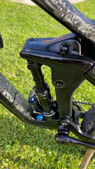 Canyon Strive CF 7.0 2019 - 17