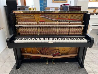 Steinway &Sons se zárukou 2 roky, doprava zdarma. - 17