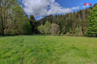 Prodej pozemku k bydlení, 4185 m², Rejštejn - 17