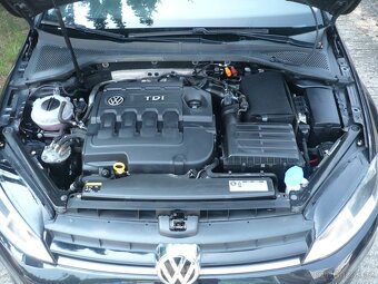 Volkswagen  Golf  1.6 TDI 77 kW - 17