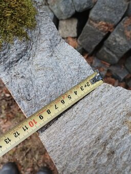 Bukové a Habrové výřezy , koláče - 17