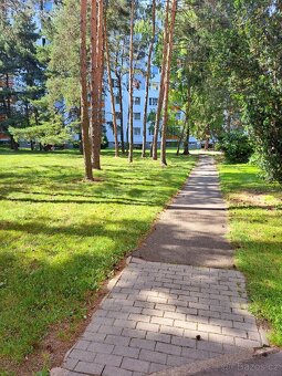 Pronájem bytu 2+kk, Chrudim - 17