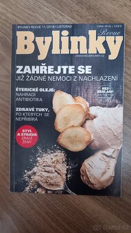 Bylinky Revue - 17