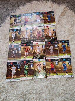 Fotbalové kartičky Panini - 17