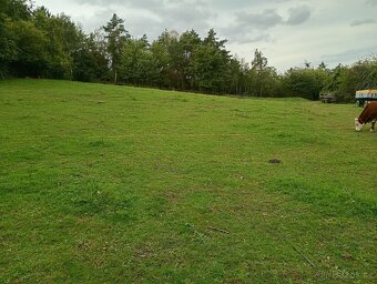 Zahrada v intravilánu obce, výměra: 7.428 m2. - 17