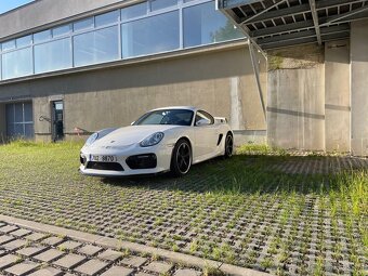 Porsche Cayman GT4/987 "Panda" Techart - 17